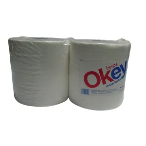 toalla-de-papel-250-mts-pack-2-unidades
